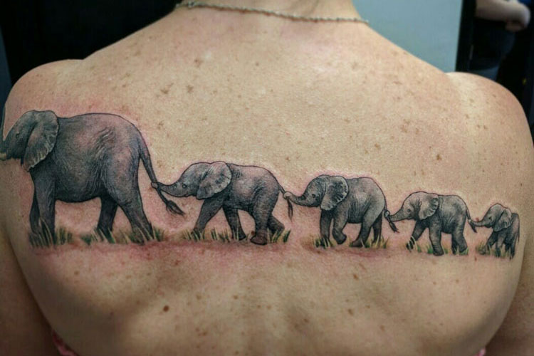 Elephant Tattoos with Meaning