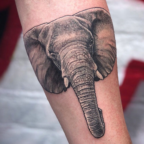 Black and Grey Elephant Tattoo