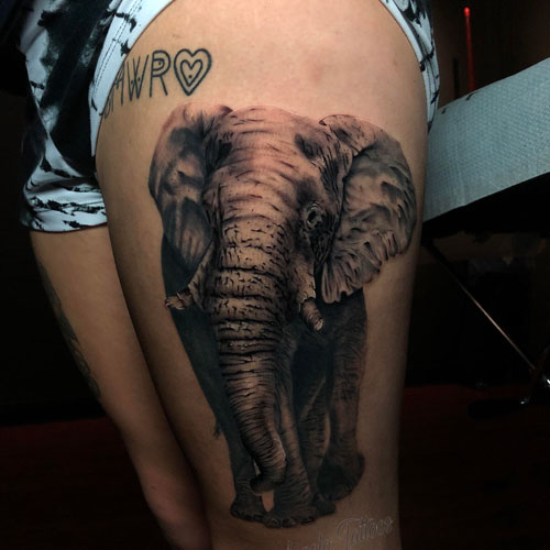 Cool Realistic Elephant Tattoo Designs