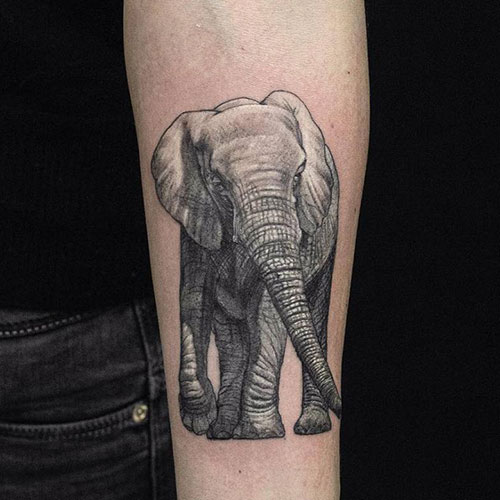 Beautiful Realistic African Elephant Tattoo