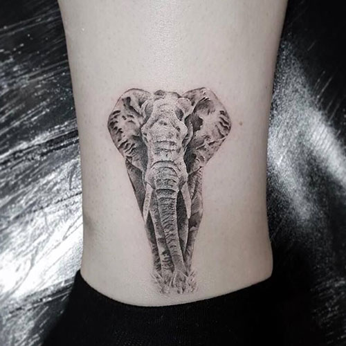 Cute African Elephant Tattoo