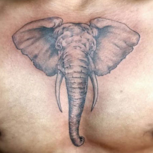 Elephant Head Tattoo on Chest