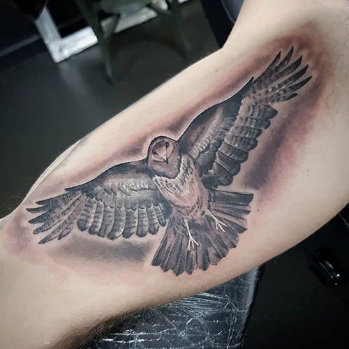 Awesome Eagle Inner Arm Tattoo Designs