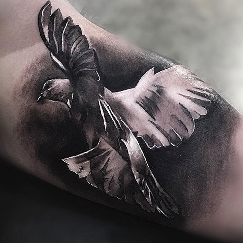 Amazing Bird Bicep Tattoos