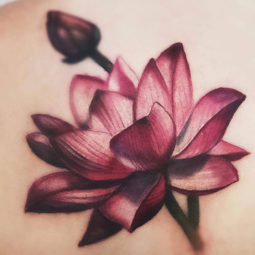 Lotus Flower Tattoo