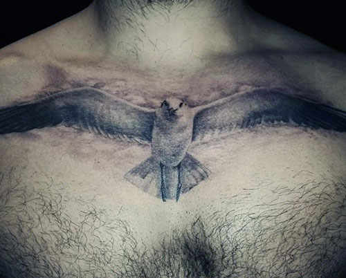 Bird Tattoo on Chest