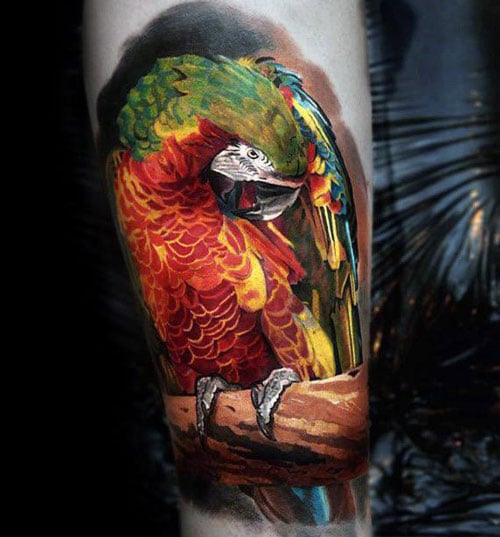 Realistic 3D Parrot Tattoo