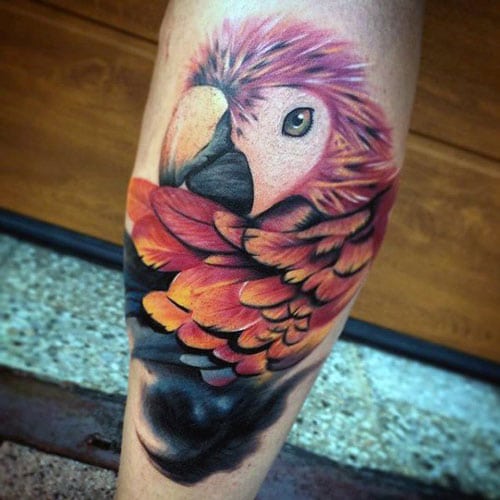 Vivid Bird Tattoo on Leg