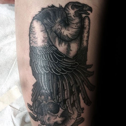 Vulture on Skull Tattoo