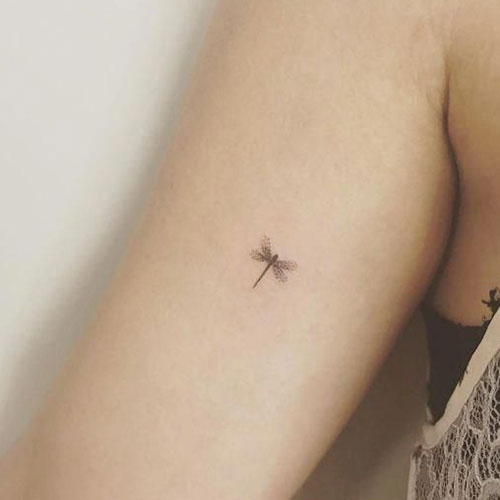 Small Dragonfly Tattoo