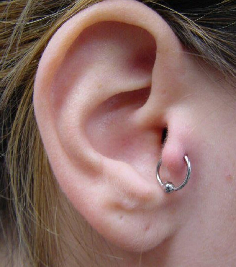 tragus